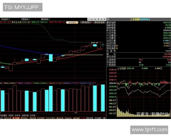 杭州网球队防守策略分析及其在比赛中的成效与不足之处探讨 杭州网球队防守策略分析及其在比赛中的成效与不足之处探讨