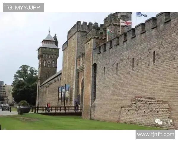 武汉攀岩队的战术创新与转换体系探索之路 武汉攀岩队的战术创新与转换体系探索之路