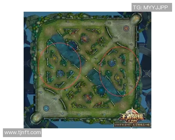 王者荣耀背后的奋斗与荣耀：JDG战队成长历程全景回顾